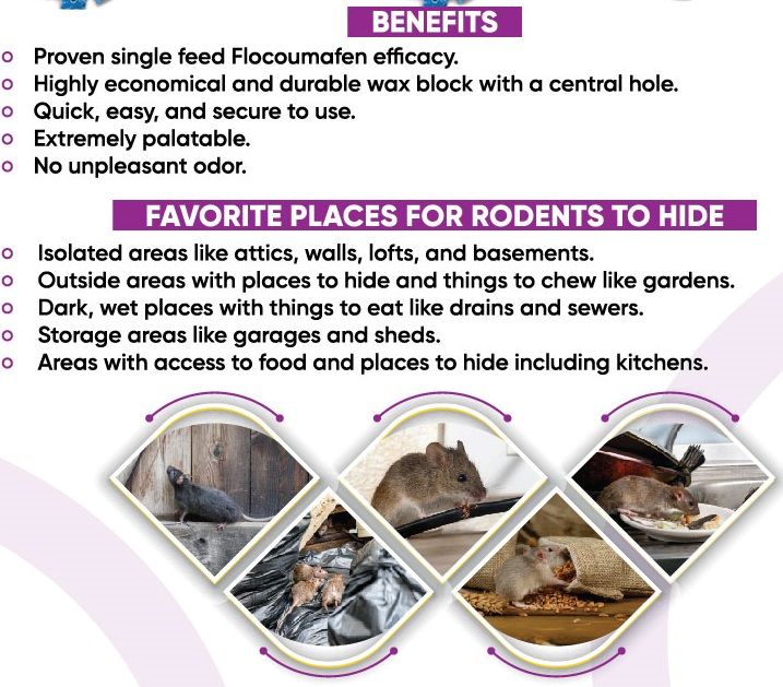 Rodentrac%20Rat%20Killer%202Kg%20Block%20%7C%20Rodent%20Control%20%7C%20Rats,%20Mice%20&%20Rodenticide%20%7C%20Professional%20Use%20%7C%20JEH%20-%20Image%204