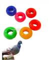 Piegon Foot Ring ( Jhanjar ) Noise Sound Ring 2/ pcs. 