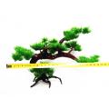 Fish Tank Aquarium Rock Bonsai Ornament Plastic Artificial Pine Tree Plant. 