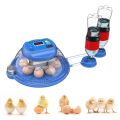 8 Eggs Intelligent Round Full Automatic Incubator Dual Supply AC-DC. 