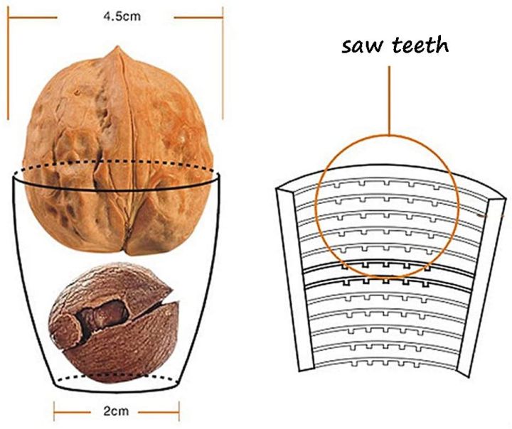 Techmanistan%20Walnut%20Crackerr%20Nutcrackerr%20Nut%20Opener%20Sheller%20with%20Non-slip%20Handle%20Kitchen%20Tool%20Hazelnut%20Walnut%20Pliers%20Metal%20Opener%20Plier%20Tool,%20Walnut%20Opener%20-%20Image%205