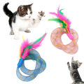 Pet Cats Kitten Funny Feather Spring Interactive Bite-resistant Playing Chew Toy. 