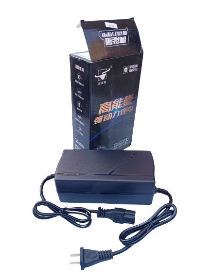 Charger for Electric Bike 60V 5A 73V) Li-Ion, LIPO4