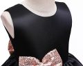 Baby Girl Ruffle Party Wedding Flower Girl Dress – Elegant Silk & Net Dress (Newborn to 4 Years)  Cute Princess Outfit. 