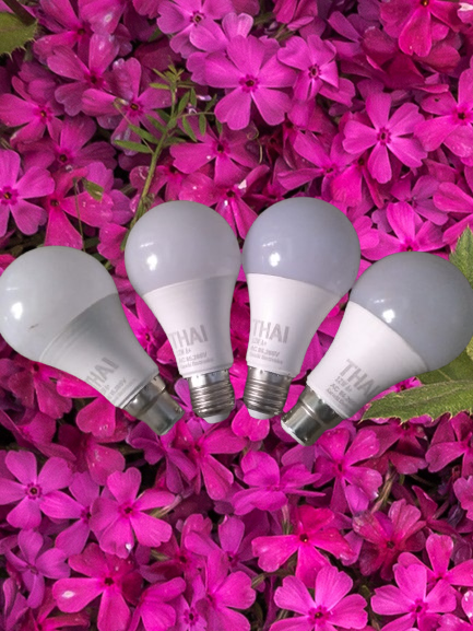 LED%20bulb,12watt,%20220VAC,.Brand%20new.4%20PCs.%202%20pcs%20E27%20choori%202pcs%20E22%20pin,2024%20fresh%20manufactured,%20best%20quality%20and%20longer%20life%20bright%20white%20light%20-%20Image%203