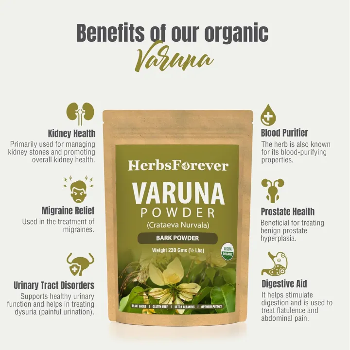 Organic%20Varuna%20Crataeva%20Nurvala%20Powder%20%20Non-GMO,%20Vegan%20Extract%20for%20Bladder%20and%20Kidney%20Function%20Support%20114%20g%20-%20Image%202