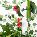 Plant Organize Clip High Stability Garden Support Binding Vine Wall Hook. 