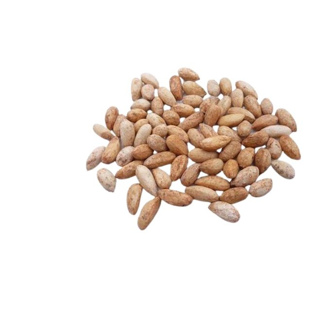 Tukham%20e%20Neem%20-%20%D8%AA%D8%AE%D9%85%20%D9%86%DB%8C%D9%85%20%20%7C%20Neem%20Nimboli%20%7C%20Dry%20Neem%20Seeds%20-%20100%20Grams%20-%20Image%202