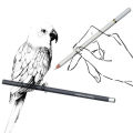 3 Pcs White Sketch Charcoal Pencils Soft/Medium/Hard White Charcoal Wooden Pencils for Artist Drawing Sketching Blending 24BB. 