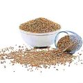 Bajra باجرہ  | Premium Pearl Millet Seeds For all kind of Birds - 5 KG. 