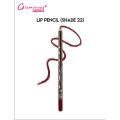 Glamorous Face Lip Pencil (shade 22). 
