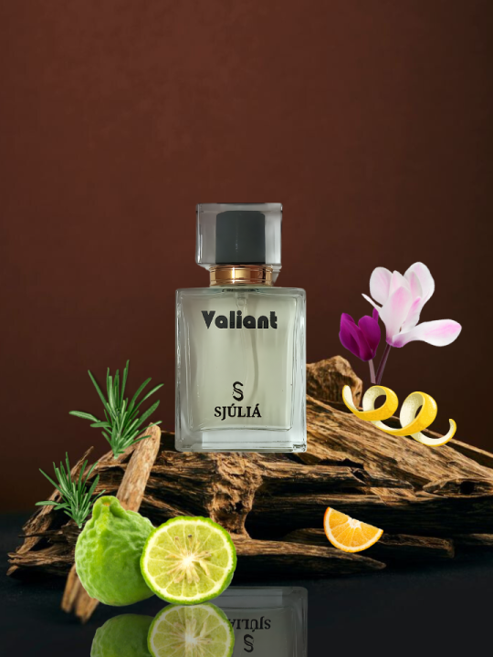 Valiant Men’s Perfume - Woody Aromatic Fragrance - SJULIA
