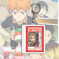 Anime Keyring Anti-crack Bag Pendant Anime Volleyball Boy. 