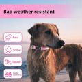 Pumila LED Rechargeable Dog Collar  Waterproof Glow in the Dark Dog Collar Flashing Light Collar. 