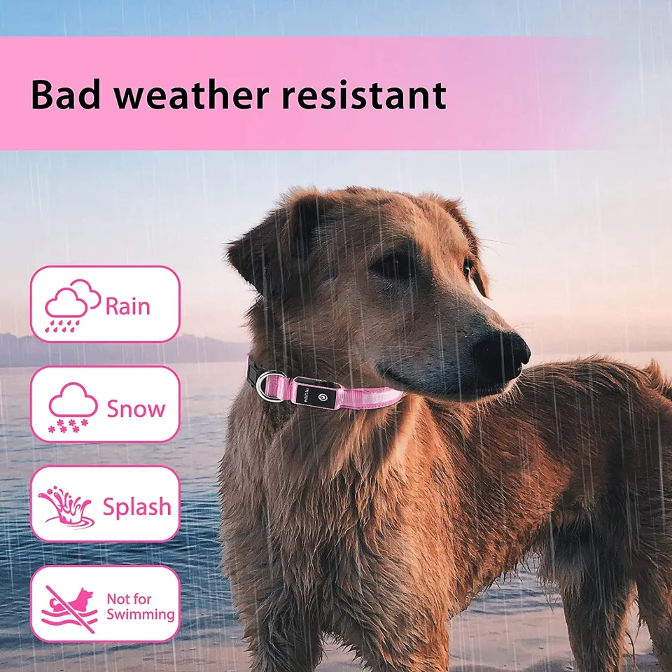 Pumila LED Rechargeable Dog Collar Waterproof Glow in the Dark Dog Collar Flashing Light Collar Daraz.pk