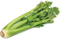 Celery (Ajwain) Vegetables Seeds - Seeds Vegetables Packet - Excellent Germination - Healthy Vegetable. 