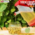 Random Color Kitchen Plastic Oil Jug With Lid & Handle - 1 Liter, Plastic Oil Bottle for Cooking Use Oil Containers. 