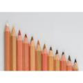 12 Skin Tints Soft Pastel Pencils Non-Toxic Wood Colored Pencils Set For Drawing Painting. 