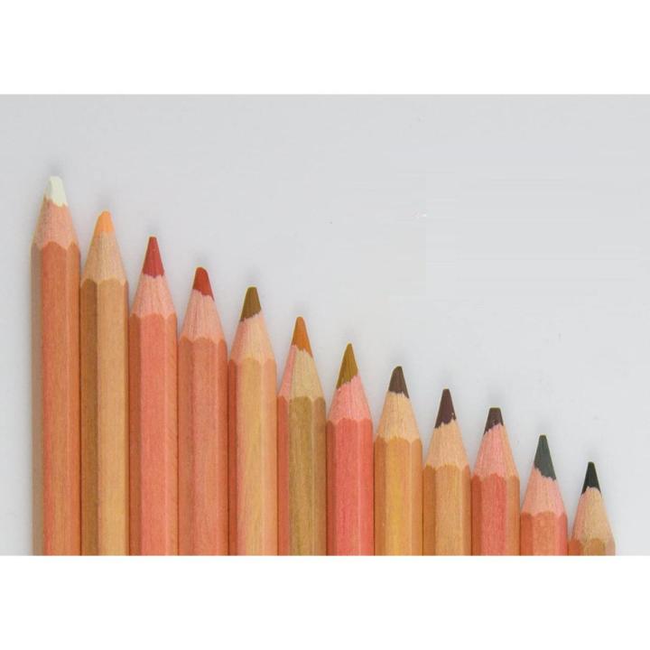 12 Skin Tints Soft Pastel Pencils Non-Toxic Wood Colored Pencils Set For Drawing Painting