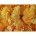 Artificial Flower Wedding Bail of Artificial Ganda Flowers / Mayon decoration and multifuction. 
