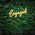 Engaged Neon Sign Wedding Neon Sign Custom Neon Sign Led Light Engagement Decor Proposal Party Wall Decor Available in Various font and styles with High Quality LED Neon Strips and Strong Acrylic Sheet. 
