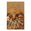 Bhagwat Geeta | Urdu Reading book | 190 Pages | Hard Cover. 