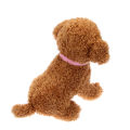 15pcs/set Identification Id Collars Whelp Kitten Dog Cat Velvet Practical Nylon Reusable Puppy Id Collar Pet Supplies. 