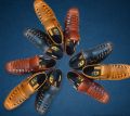 New Black Mens Comfortable Synthetic Covered Sandals Soft And Lightweight Shoes For Casual Use. 