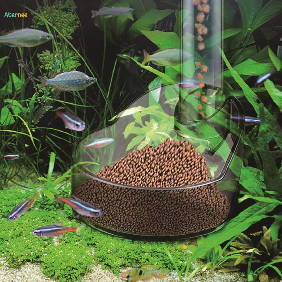 Aquarium feeder fish hotsell