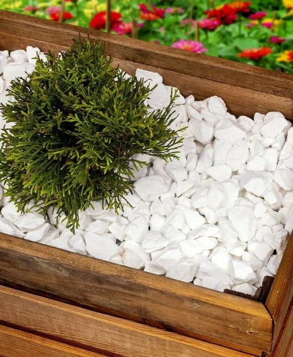 Fish%20Tank%20Gravel%20Rocks%20Marble%20Chips%20Gravel%20Stones%20Aquarium%20Natural%20Gravel%20white%20Colour%20For%20Garden%20Plant%20Decor,%20Decorative%20Rocks%20Stones%201%20KG%20-%20Image%203