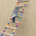 Birds Amazon Special Medium size Bird Ladder Toys Coloured Flexible Parrot Bridge Wooden Cockatiel Cage Hanging Climbing Ladder. 
