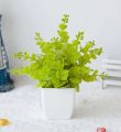 Artificial Plants Mini Potted Plant Small Greenery Decor for Indoor Home Farmhouse Aesthetic Bedroom Shelf Office Desk Bathroom Decoration. 