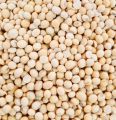 Soybean whole. 