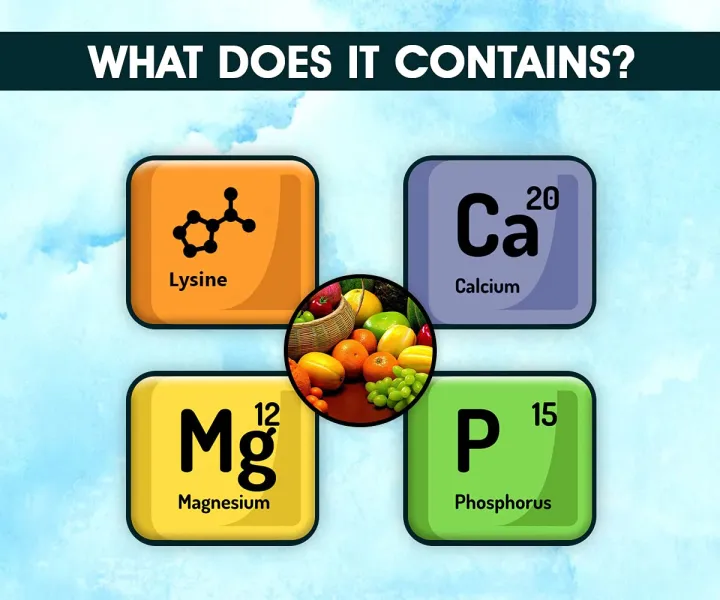 BOLTZ%20Natural%20Hand%20Feeding%20Formula%20for%20Exotic%20Baby%20Bird%20Chicks%20-%20500%20GM,%20White,%20Medium,%20(Model:%20HANDFEED)%20-%20Image%203