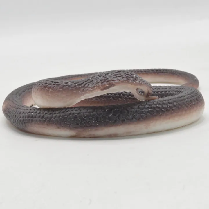 Khanaan%20Realistic%20Rubber%20Snack%20Toys%20-%20Image%203