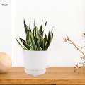 Self Watering Planters, Indoor Self Watering Planter Pots with Drainage Hole for Plants, Flowers, All Houseplants. 