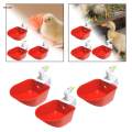 3Pcs Chicken Drinkers Cups Removable Feeder Drinking Bowls for Chicks Poultry Quail Pigeon. 