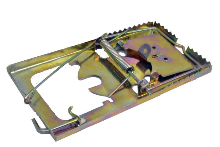 Heavy Duty Metal Mouse Trap & Rat Catcher – Snap Spring Rodent Killer ...