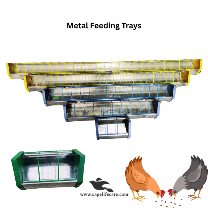 Metal Poultry Feeding Tray with Plastic Borders For Poultry & Piegons ( 8 inches to 6feets Long Trays )