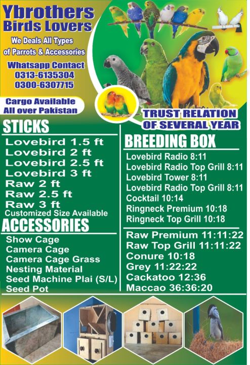 Indian%20Ringneck%20Parrots%20Breading%20Box%20Premium%20(Kikar%20Wood)%20-%20Image%207