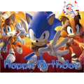 Sonic Fancy Backdrop Sonic Theme Fancy Panaflex Sonic Birthday Party Banner Code 13. 