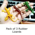 Pack of 3  / Artificial Rubber Lizard Toy Chipkali Lizard For Boys, Girls, Men & Women. 