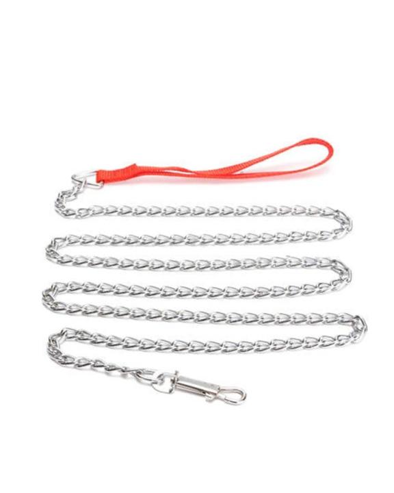 Metal%20Chain%20Leash-silver%20-easy%20grip-%20-%20Image%202