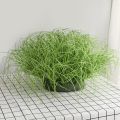 5PCS/lot New Artificial Grass Onion Rush Grass Artificial Plant for Decoration Home Garden Wall Decor Green Plant. 