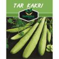 Kakri Tar (Armenian Cucumber ) Summer vegetable Seeds 60 Plus seeds. 