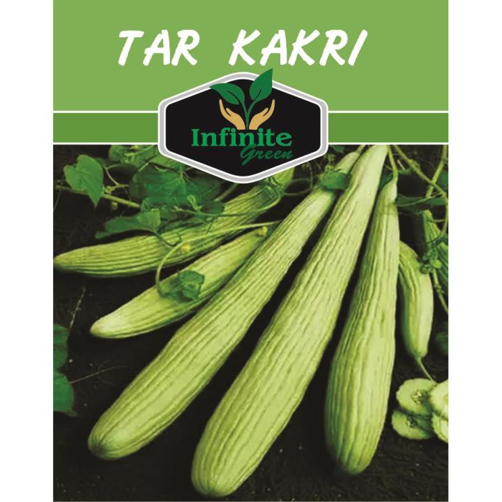 Kakri Tar (Armenian Cucumber ) Summer vegetable Seeds 60 Plus seeds