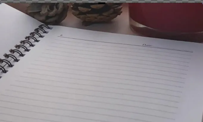 punjabi%20funny%20%20notebook,%20high%20quality%20Coquette%20notebook-Pink%20bows-%20Girls%20aesthetic%20notebook-%20A5%20lined%20pages,%20school%20notebook%20,%20coquette%20notebook%20for%20girls%20bow%20notebook%20-%20Image%205