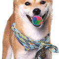 Green Home Glowing Ball Elastic Happy Exercise Rubber Flashing Elastic Ball Pet Supply for Home. 