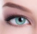 Contact Lense Complete Set Hazel Aqua Blue Green Grey Colors. 