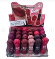 Beauty Model Matte Lipstick Box - Set of 24 Vibrant Shades. 